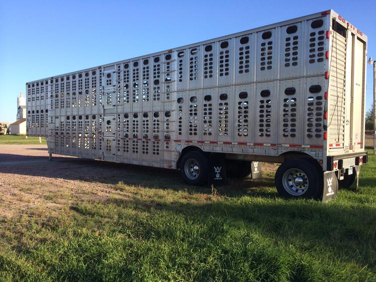 Livestock Network Cattle Trailers For Sale Cattle Trucking Jobs